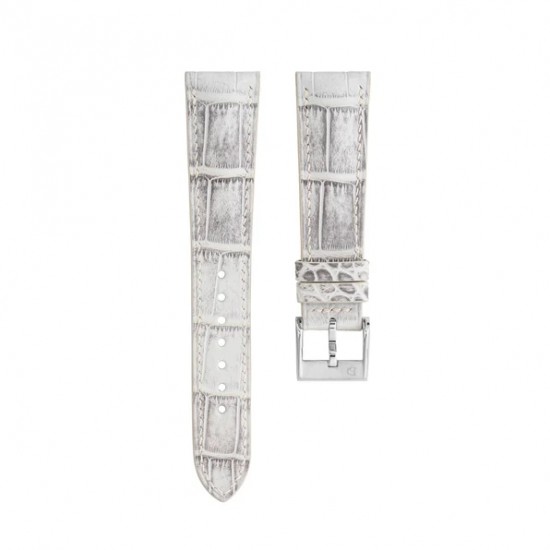 watch band