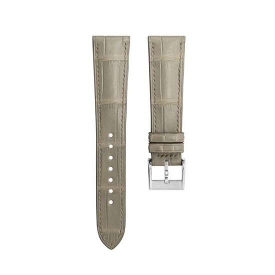 watch band