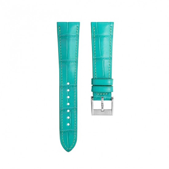 watch band